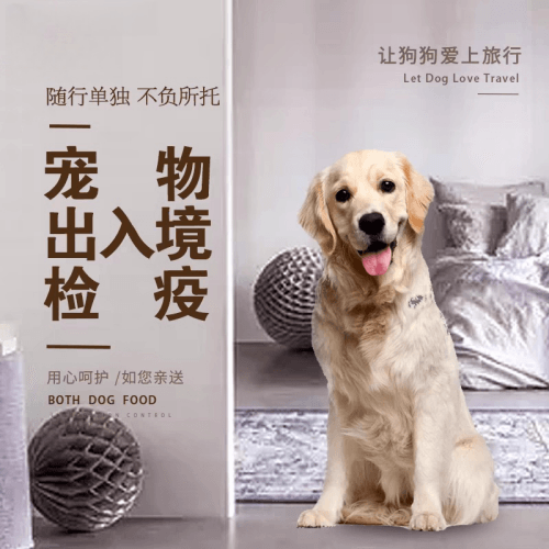 广州市宠物托运到哥伦比亚猫狗宠物入境规定和