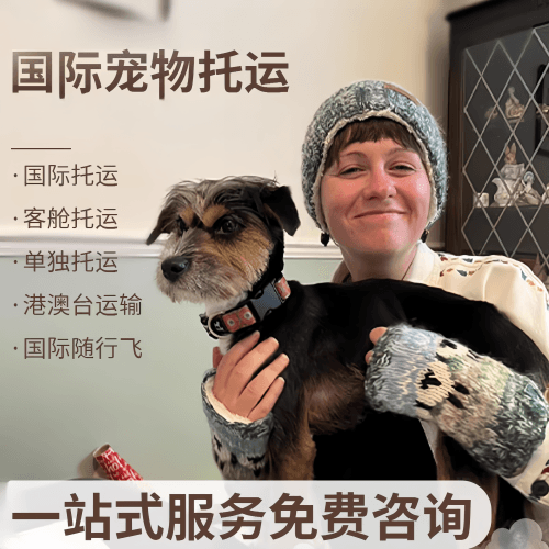 广州市国际宠物托运到阿根廷宠物入境规定和要