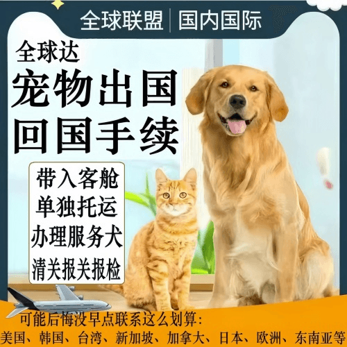 广州市宠物托运到柬埔寨宠物入境规定和要求