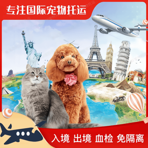 广州市宠物托运到美国宠物入境最新规定和要求