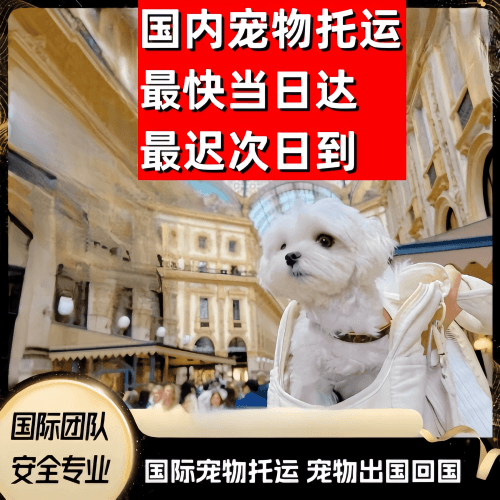 广州市到澳大利亚（澳洲）宠物入境规定和要求